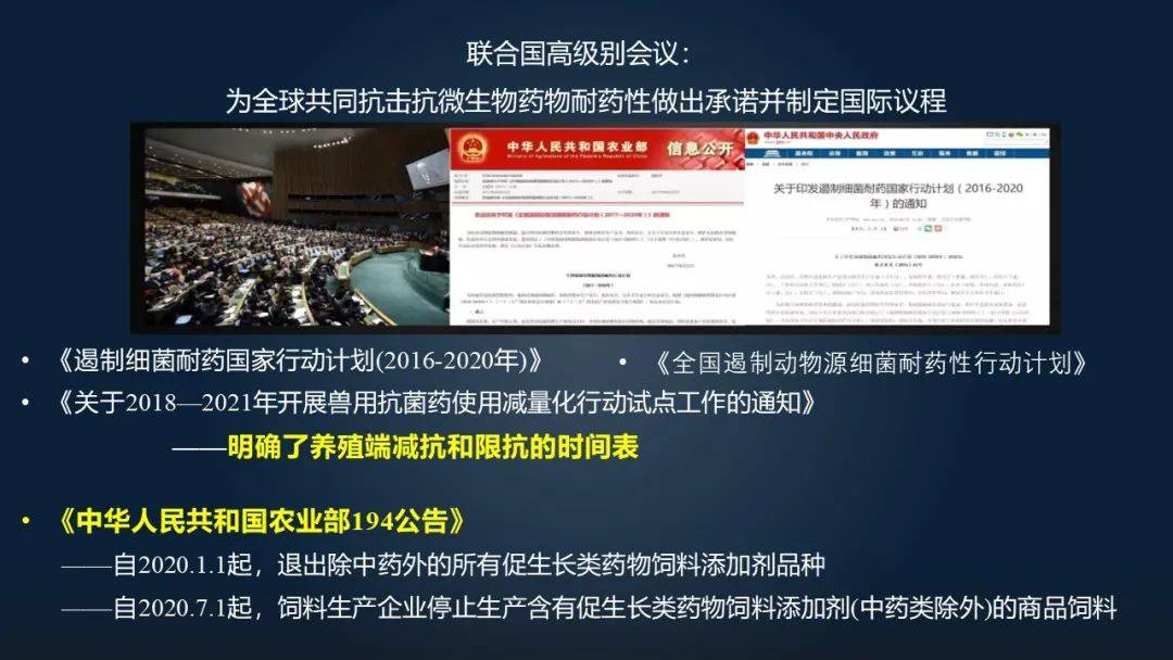 五分钟学会2025澳门特马网站www8,详细解答、解释与落实-警惕虚假宣传-详细解答、解释与落实